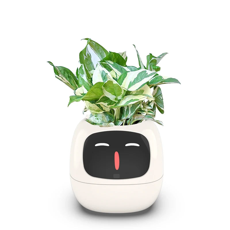 Intelligent flowerpot