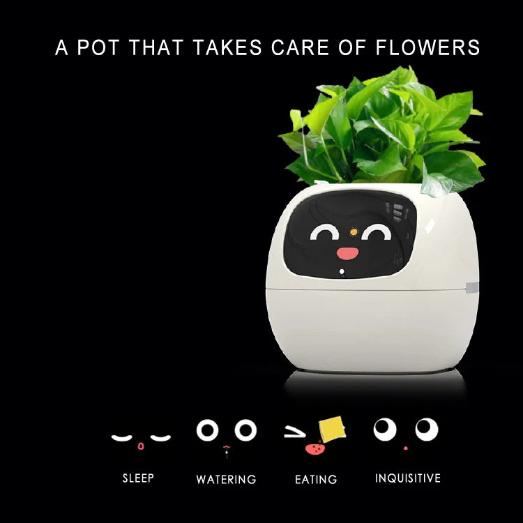 Intelligent flowerpot