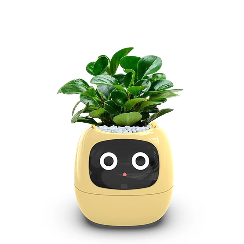 Intelligent flowerpot