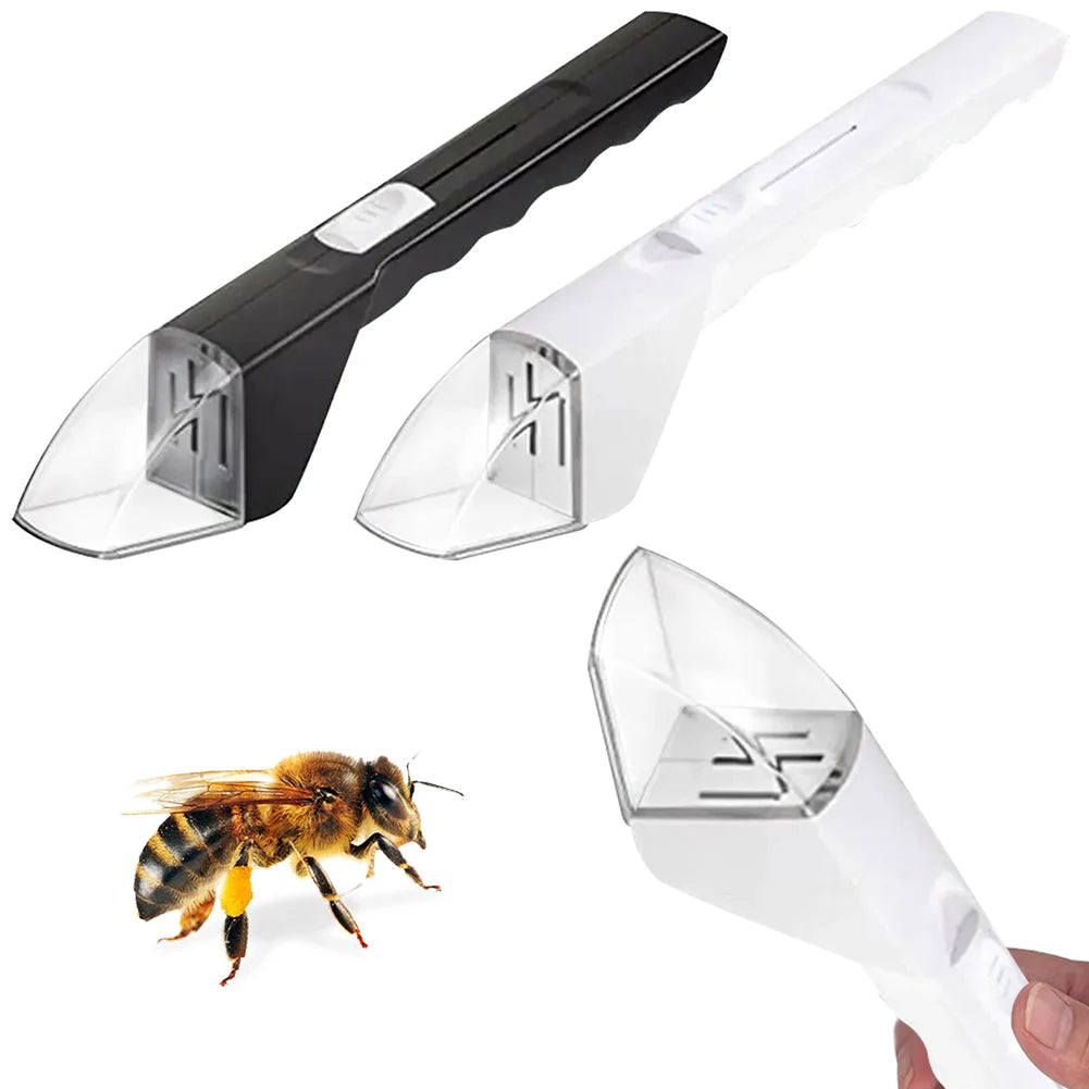 Portable insect catcher