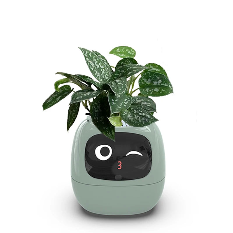 Intelligent flowerpot