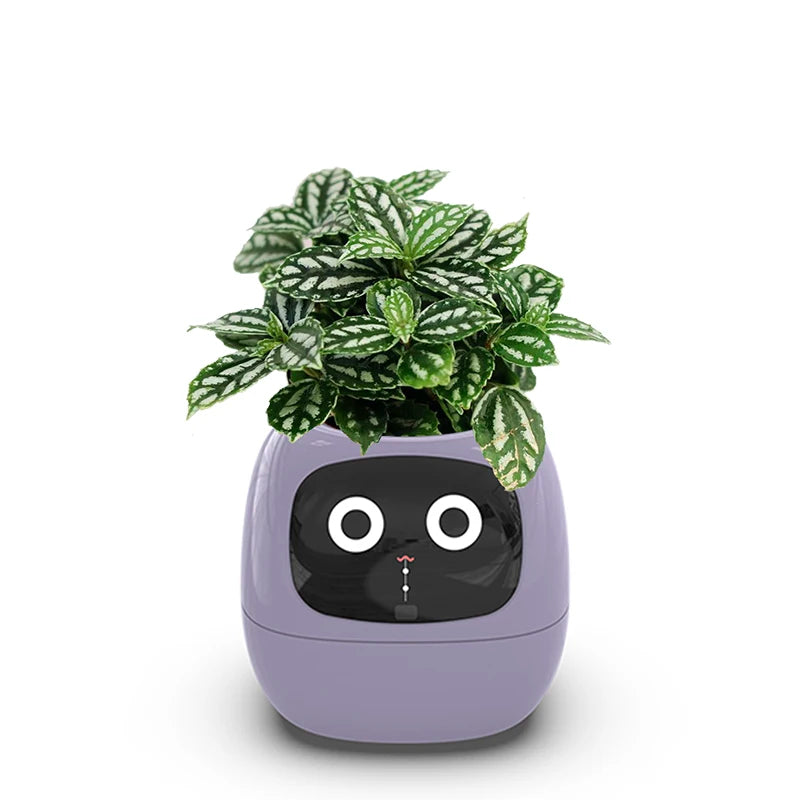 Intelligent flowerpot