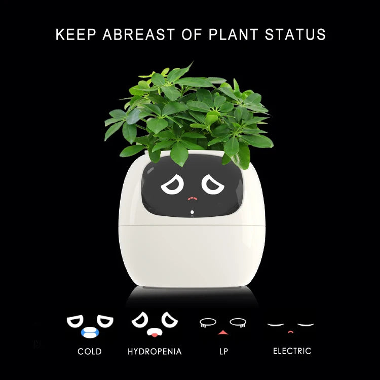 Intelligent flowerpot